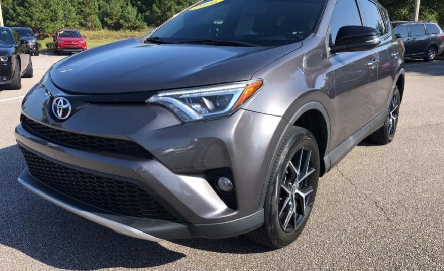 2016 Toyota RAV4 SE 2T3NFREVXGW289102