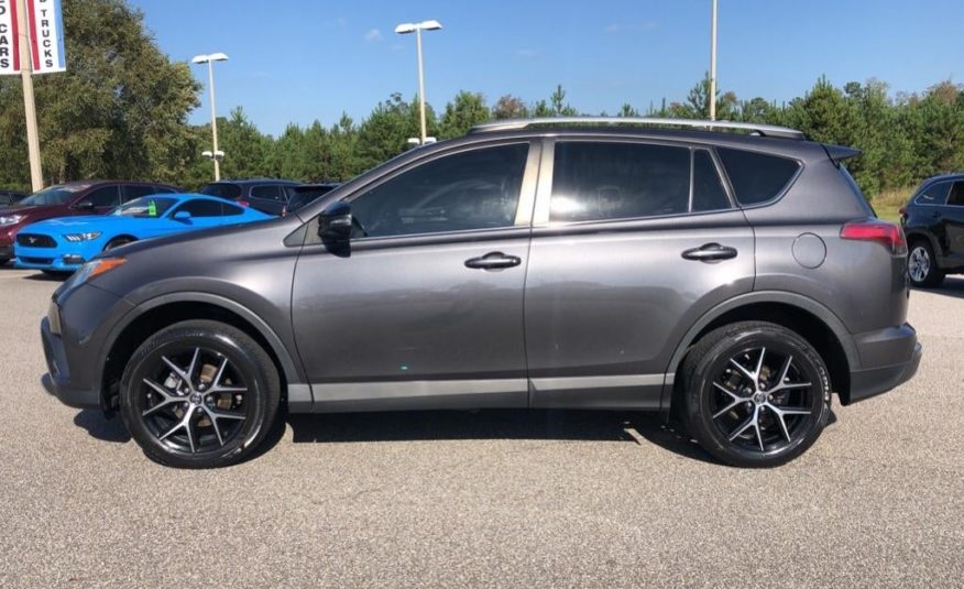 2016 Toyota RAV4 SE 2T3NFREVXGW289102