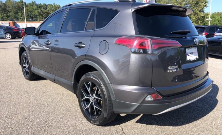 2016 Toyota RAV4 SE 2T3NFREVXGW289102