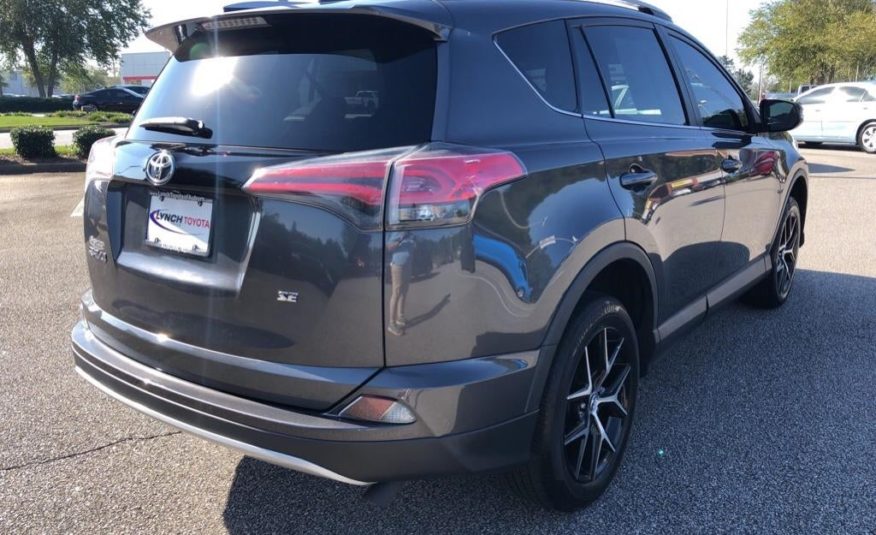 2016 Toyota RAV4 SE 2T3NFREVXGW289102